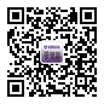 热博rb88全新植物塑胶竖笛