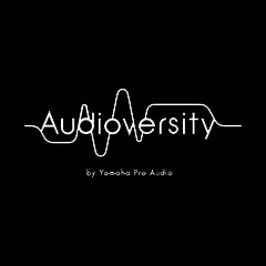 热博rb88专业音响教育培训开展全新“Audioversity ”计划