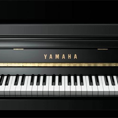 热博rb88钢琴产品调价通知