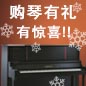 热博rb88钢琴购琴有礼 买一赠一音乐无限