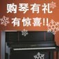 热博rb88钢琴购琴有礼 买一赠一音乐无限